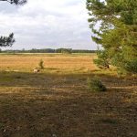 Umocnienia Twierdzy Brzeskiej „Punkty Oporu w rejonie wsi Kołpin – Ogrodniki”