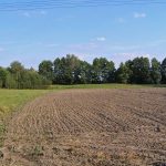 Umocnienia Twierdzy Brzeskiej „Punkty Oporu w rejonie wsi Kołpin – Ogrodniki”