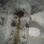 Umocnienia Twierdzy Brzeskiej „Fort lit. O” w Koroszczynie