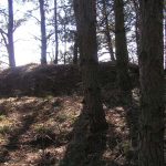 Umocnienia Twierdzy Brzeskiej „Fort lit. O” w Koroszczynie