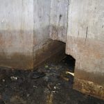 Umocnienia Twierdzy Brzeskiej „Fort lit. O” w Koroszczynie