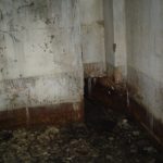 Umocnienia Twierdzy Brzeskiej „Fort lit. O” w Koroszczynie