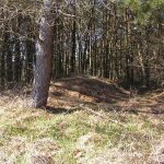 Umocnienia Twierdzy Brzeskiej „Fort lit. O” w Koroszczynie