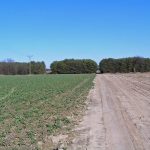 Umocnienia Twierdzy Brzeskiej „Fort lit. O” w Koroszczynie