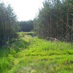 Umocnienia Twierdzy Brzeskiej „Fort lit. O” w Koroszczynie