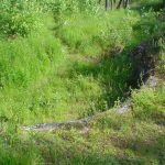 Umocnienia Twierdzy Brzeskiej „Fort lit. O” w Koroszczynie