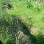 Umocnienia Twierdzy Brzeskiej „Fort lit. O” w Koroszczynie