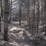 Umocnienia Twierdzy Brzeskiej „Fort lit. O” w Koroszczynie