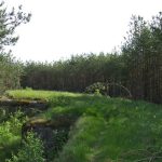 Umocnienia Twierdzy Brzeskiej „Fort lit. O” w Koroszczynie