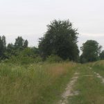 Umocnienia Twierdzy Brzeskiej „Fort lit. O” w Koroszczynie