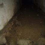 Umocnienia Twierdzy Brzeskiej „Fort lit. O” w Koroszczynie