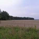 Umocnienia Twierdzy Brzeskiej „Fort lit. O” w Koroszczynie