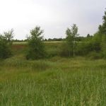 Umocnienia Twierdzy Brzeskiej „Fort lit. O” w Koroszczynie