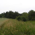 Umocnienia Twierdzy Brzeskiej „Fort lit. O” w Koroszczynie