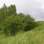 Umocnienia Twierdzy Brzeskiej „Fort lit. O” w Koroszczynie