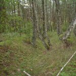 Umocnienia Twierdzy Brzeskiej „Fort lit. O” w Koroszczynie