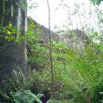 Umocnienia Twierdzy Brzeskiej „Fort lit. O” w Koroszczynie