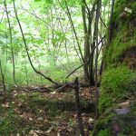 Umocnienia Twierdzy Brzeskiej „Fort lit. O” w Koroszczynie