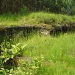 Umocnienia Twierdzy Brzeskiej „Fort lit. O” w Koroszczynie