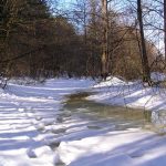 Rzeka Bug i Jezioro Trojan