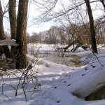 Rzeka Bug i Jezioro Trojan