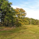 Rzeka Bug i Jezioro Trojan