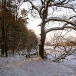 Rzeka Bug i Jezioro Trojan