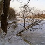 Rzeka Bug i Jezioro Trojan