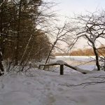 Rzeka Bug i Jezioro Trojan