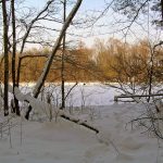 Rzeka Bug i Jezioro Trojan