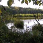 Rzeka Bug i Jezioro Trojan