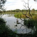 Rzeka Bug i Jezioro Trojan