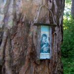 Zapomniany cmentarz wojenny z 1915 roku w okolicach Rokitna