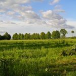 Zapomniany cmentarz wojenny z 1915 roku w okolicach Rokitna