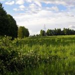 Zapomniany cmentarz wojenny z 1915 roku w okolicach Rokitna