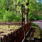 Zapomniany cmentarz wojenny z 1915 roku w okolicach Rokitna