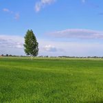 Zapomniany cmentarz wojenny z 1915 roku w okolicach Rokitna