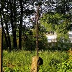 Zapomniany cmentarz wojenny z 1915 roku w okolicach Rokitna