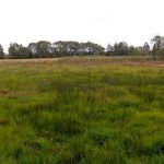 Zapomniany cmentarz wojenny z 1915 roku w okolicach Rokitna