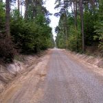 Zapomniany cmentarz wojenny z 1915 roku w okolicach Rokitna