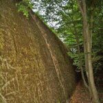 Niemieckie Schrony Kolejowe w Jeleniu i Konewce