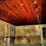 Niemieckie Schrony Kolejowe w Jeleniu i Konewce