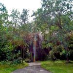 Niemieckie Schrony Kolejowe w Jeleniu i Konewce