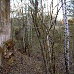 Umocnienia Twierdzy Brzeskiej „Fort lit. K” w Kobylanach