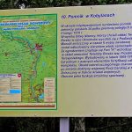 Umocnienia Twierdzy Brzeskiej „Fort lit. K” w Kobylanach