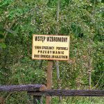 Umocnienia Twierdzy Brzeskiej „Fort lit. K” w Kobylanach