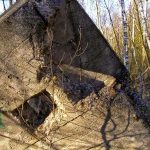 Umocnienia Twierdzy Brzeskiej „Fort lit. K” w Kobylanach