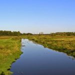 Rogoźnica i Rogoźniczka – dawna granica Korony i Litwy