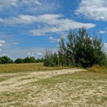 Niemieckie Lotnisko Polowe w Woskrzenicach Dużych