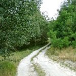 Niemieckie Lotnisko Polowe w Woskrzenicach Dużych